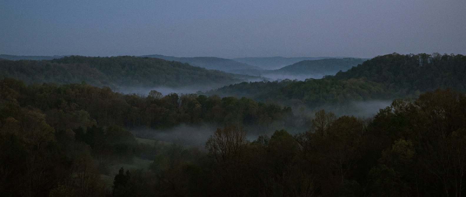 Wooded ridgeline at dusk on the Highland Rim
